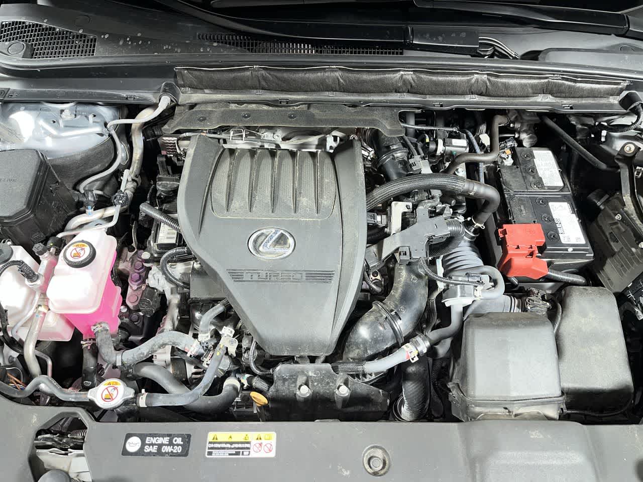 2023 Lexus RX 350 Luxury