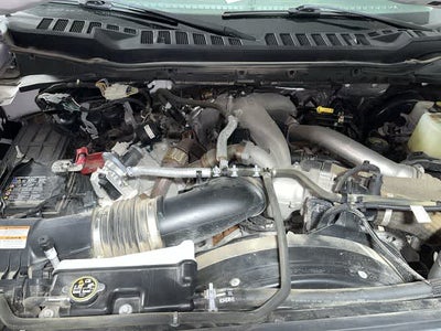 2024 Ford Super Duty F-250 Pickup XLT
