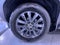2024 Toyota Land Cruiser 4WD (Natl)