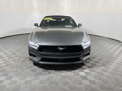 2025 Ford Mustang EcoBoost Premium